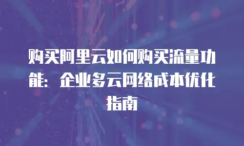 购买阿里云如何购买流量功能：企业多云网络成本优化指南