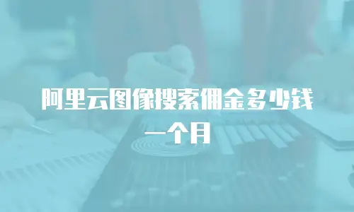 阿里云图像搜索佣金多少钱一个月
