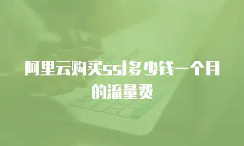 阿里云购买ssl多少钱一个月的流量费
