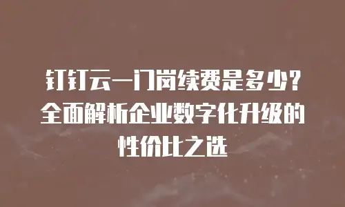 钉钉云一门岗续费是多少？全面解析企业数字化升级的性价比之选