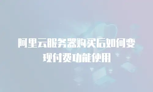 阿里云服务器购买后如何变现付费功能使用