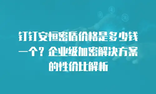 钉钉安恒密盾价格是多少钱一个？企业级加密解决方案的性价比解析