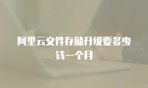 阿里云文件存储升级要多少钱一个月
