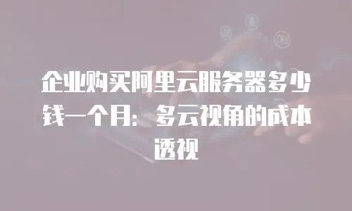 企业购买阿里云服务器多少钱一个月：多云视角的成本透视