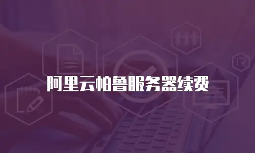 阿里云帕鲁服务器续费