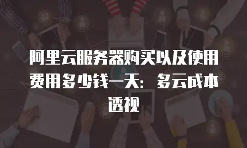 阿里云服务器购买以及使用费用多少钱一天：多云成本透视