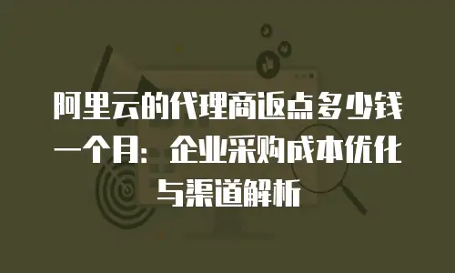 阿里云的代理商返点多少钱一个月：企业采购成本优化与渠道解析
