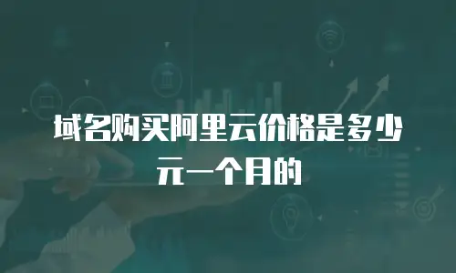 域名购买阿里云价格是多少元一个月的