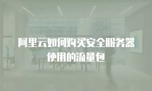 阿里云如何购买安全服务器使用的流量包