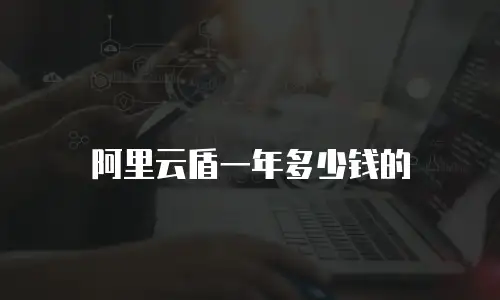 阿里云盾一年多少钱的
