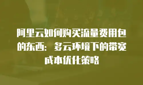 阿里云如何购买流量费用包的东西：多云环境下的带宽成本优化策略
