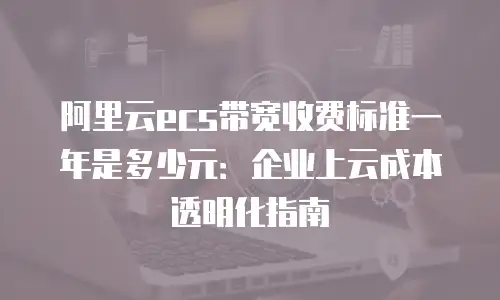 阿里云ecs带宽收费标准一年是多少元：企业上云成本透明化指南