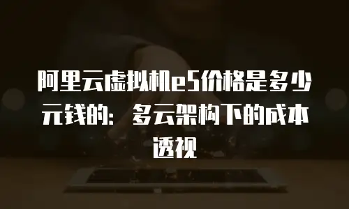 阿里云虚拟机e5价格是多少元钱的：多云架构下的成本透视