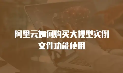 阿里云如何购买大模型实例文件功能使用