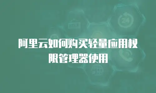 阿里云如何购买轻量应用权限管理器使用