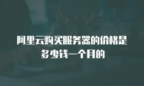 阿里云购买服务器的价格是多少钱一个月的