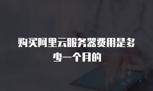 购买阿里云服务器费用是多少一个月的