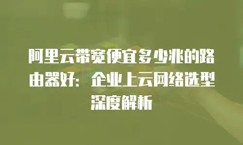 阿里云带宽便宜多少兆的路由器好：企业上云网络选型深度解析