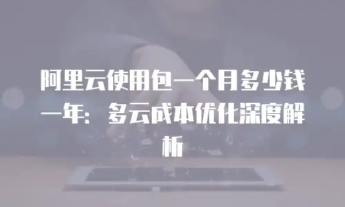 阿里云使用包一个月多少钱一年：多云成本优化深度解析