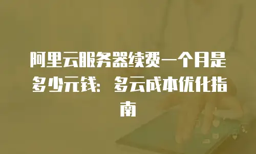 阿里云服务器续费一个月是多少元钱：多云成本优化指南