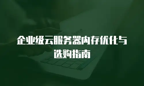 企业级云服务器内存优化与选购指南