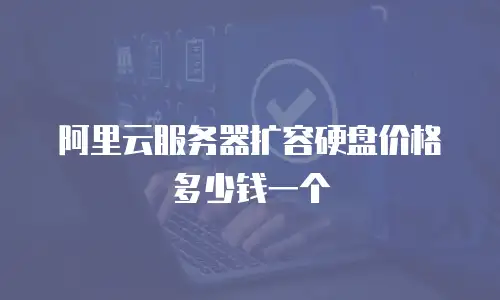 阿里云服务器扩容硬盘价格多少钱一个