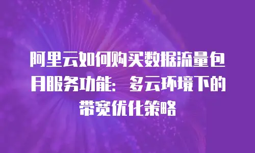 阿里云如何购买数据流量包月服务功能：多云环境下的带宽优化策略