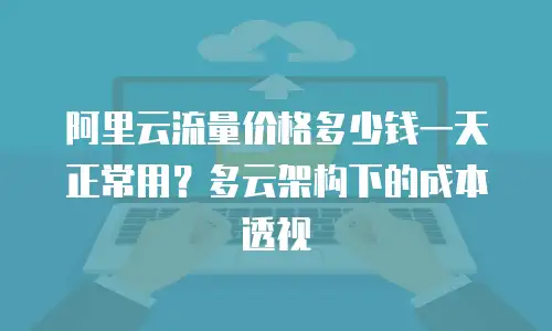 阿里云流量价格多少钱一天正常用？多云架构下的成本透视