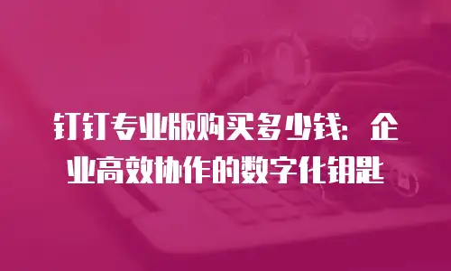钉钉专业版购买多少钱：企业高效协作的数字化钥匙