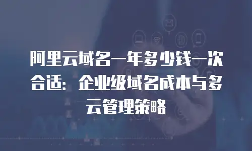 阿里云域名一年多少钱一次合适：企业级域名成本与多云管理策略