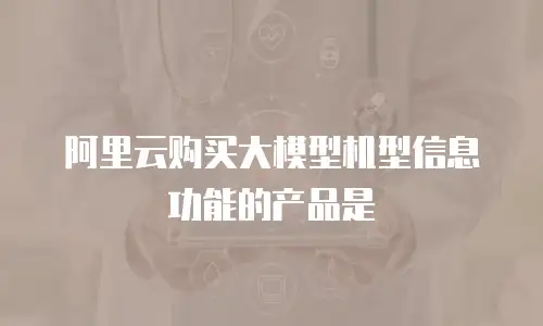 阿里云购买大模型机型信息功能的产品是