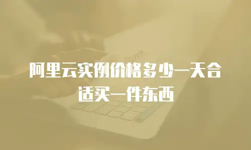 阿里云实例价格多少一天合适买一件东西