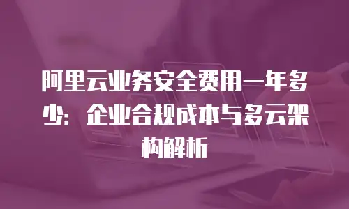 阿里云业务安全费用一年多少：企业合规成本与多云架构解析