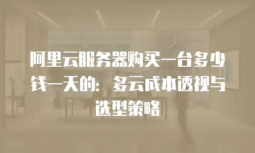 阿里云服务器购买一台多少钱一天的：多云成本透视与选型策略