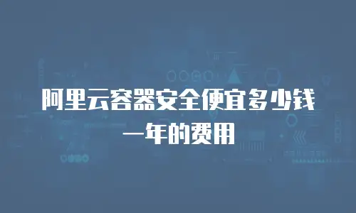 阿里云容器安全便宜多少钱一年的费用