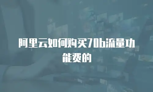 阿里云如何购买70b流量功能费的