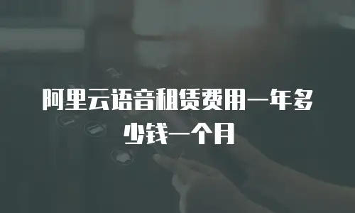 阿里云语音租赁费用一年多少钱一个月