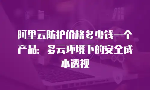 阿里云防护价格多少钱一个产品：多云环境下的安全成本透视