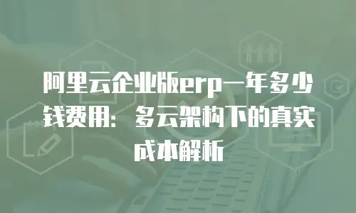 阿里云企业版erp一年多少钱费用：多云架构下的真实成本解析