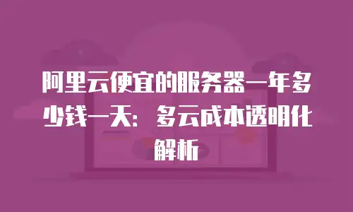 阿里云便宜的服务器一年多少钱一天：多云成本透明化解析