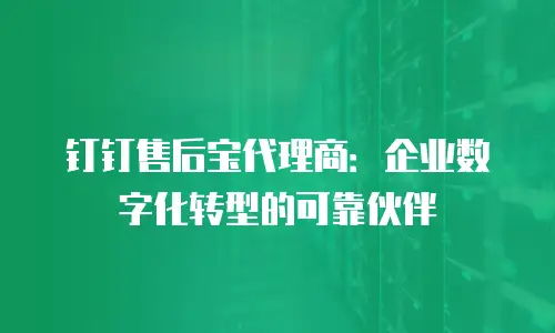 钉钉售后宝代理商：企业数字化转型的可靠伙伴