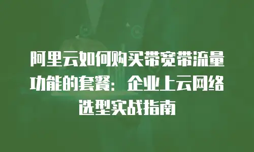 阿里云如何购买带宽带流量功能的套餐：企业上云网络选型实战指南