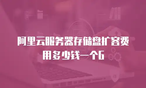 阿里云服务器存储盘扩容费用多少钱一个G