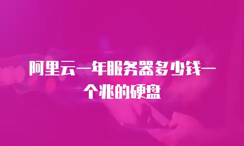 阿里云一年服务器多少钱一个兆的硬盘