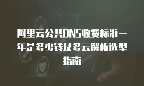 阿里云公共DNS收费标准一年是多少钱及多云解析选型指南