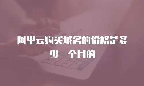 阿里云购买域名的价格是多少一个月的