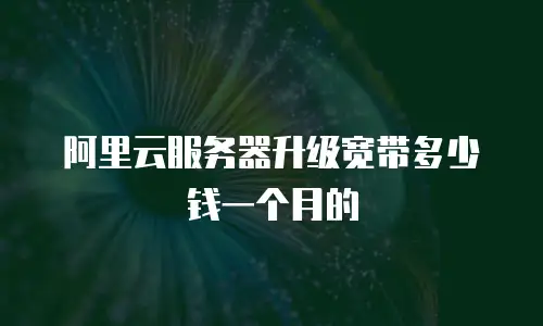 阿里云服务器升级宽带多少钱一个月的
