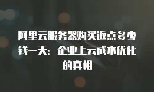 阿里云服务器购买返点多少钱一天：企业上云成本优化的真相