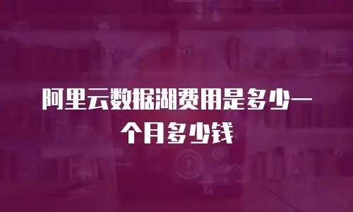阿里云数据湖费用是多少一个月多少钱