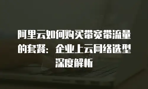 阿里云如何购买带宽带流量的套餐：企业上云网络选型深度解析